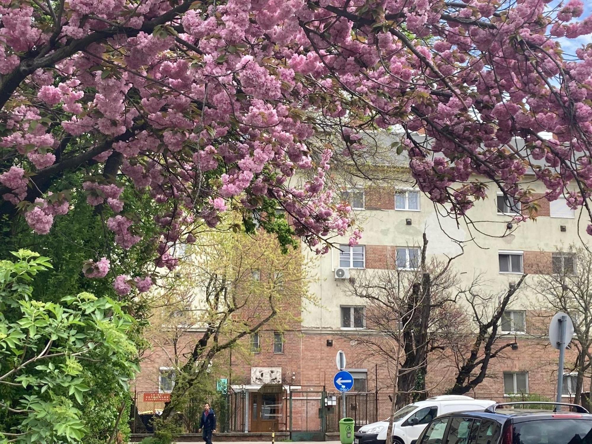 Poppy Flower Apartment Βουδαπέστη Εξωτερικό φωτογραφία