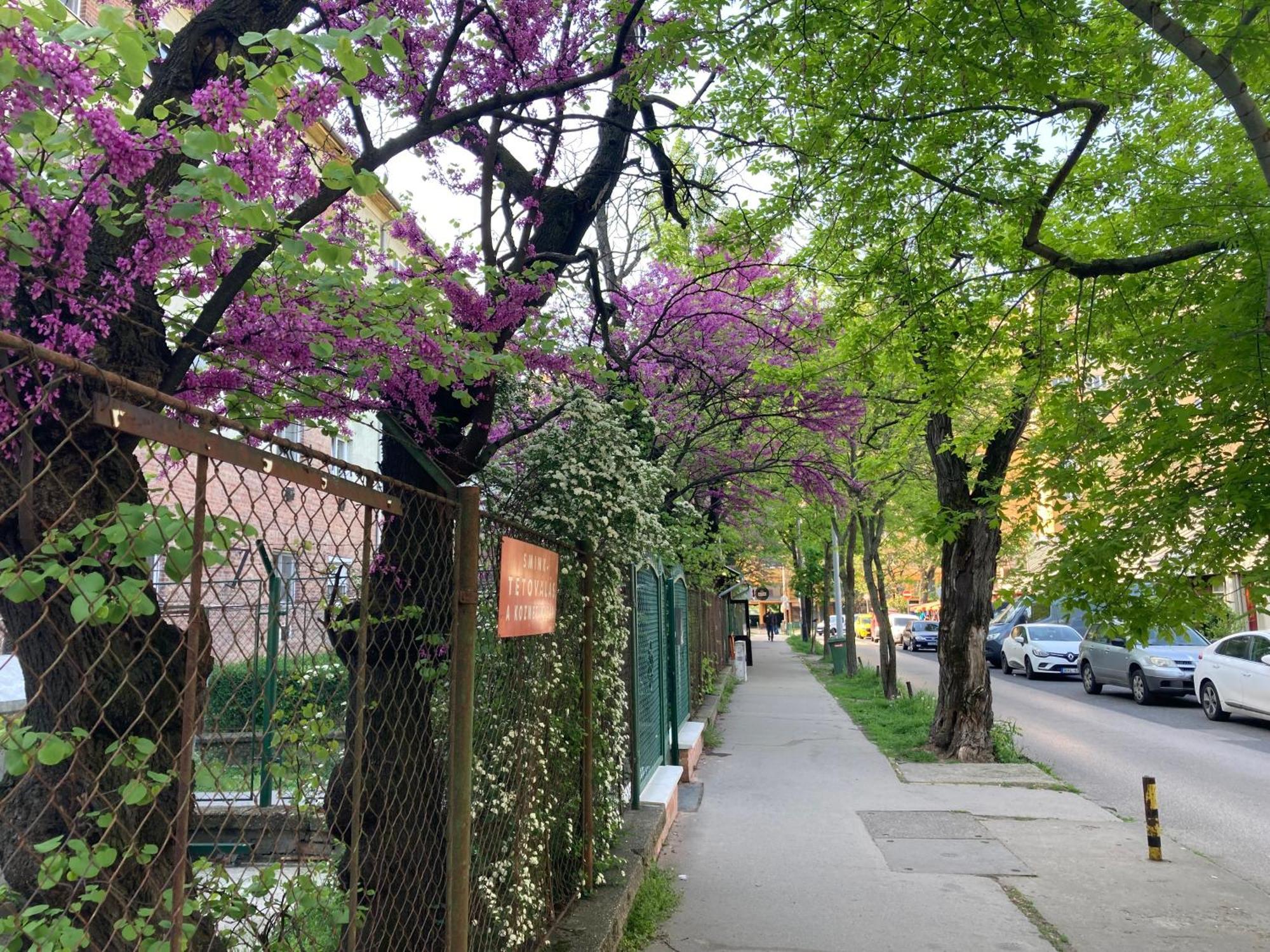 Poppy Flower Apartment Βουδαπέστη Εξωτερικό φωτογραφία
